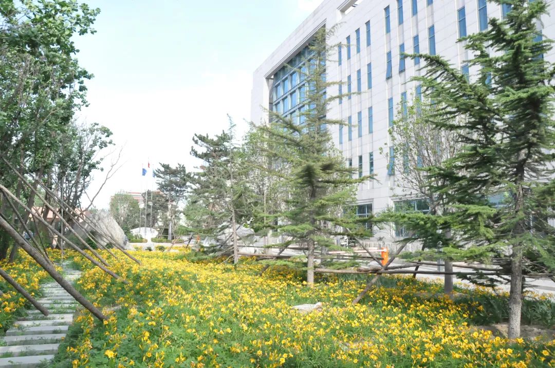 践行可持续发展理念,AG庄闲全链路打造环保健康人居环境